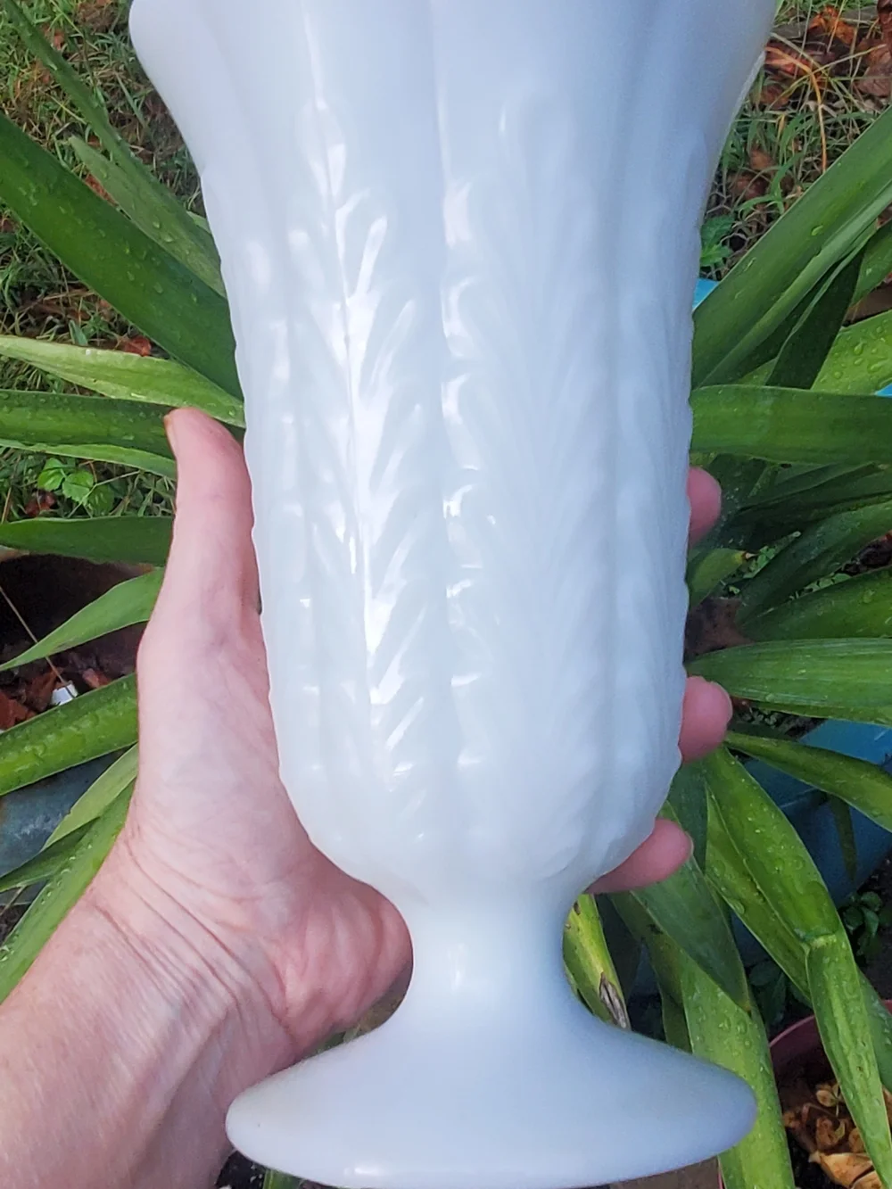 E.O. Brody CO White Milk Glass Scalloped Pedestal Vase Style M5200 Wheat Pattern